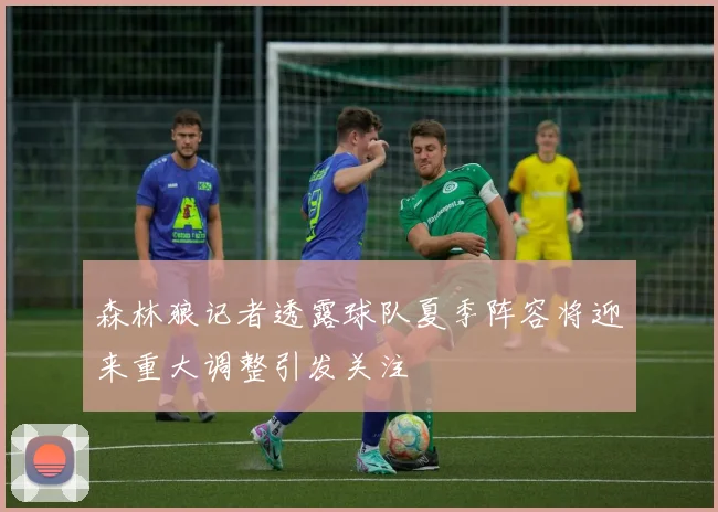 森林狼记者透露球队夏季阵容将迎来重大调整引发关注